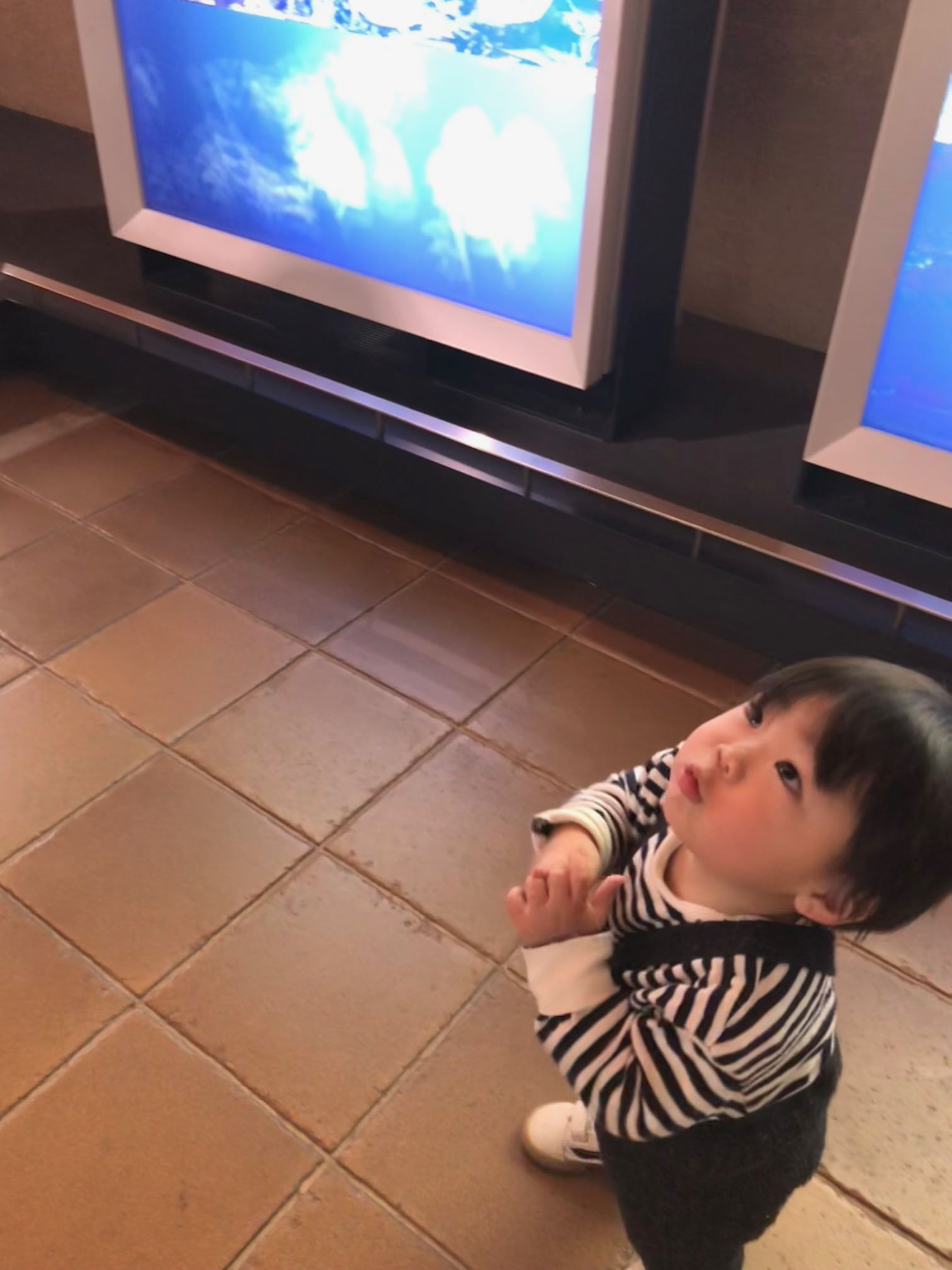 https://stratus.campaign-image.jp/images/5590000002818541_zc_v1_1769688976377_img_2571.jpg