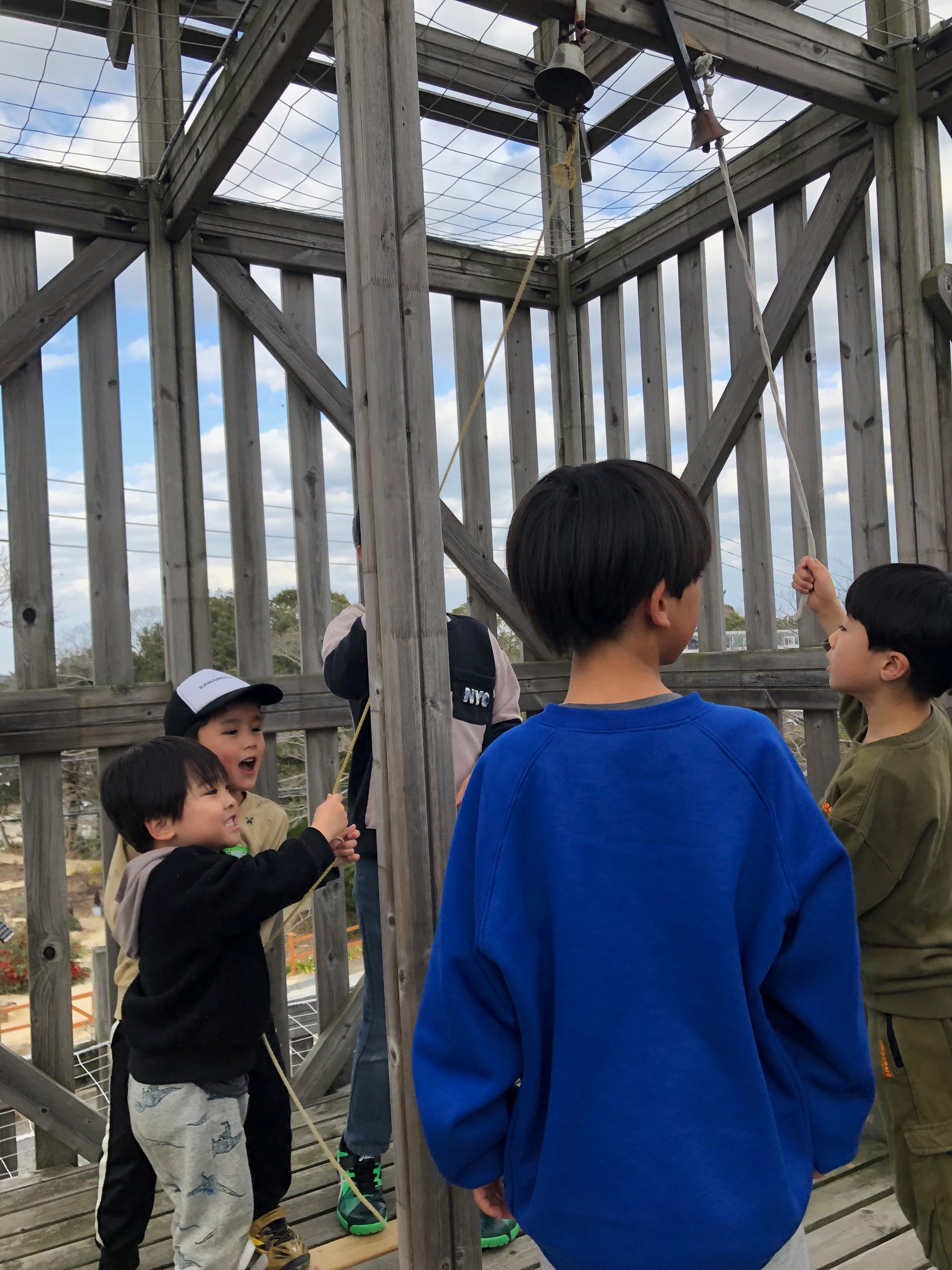 https://stratus.campaign-image.jp/images/5590000002955004_zc_v1_1772070178857_img_3409.jpg