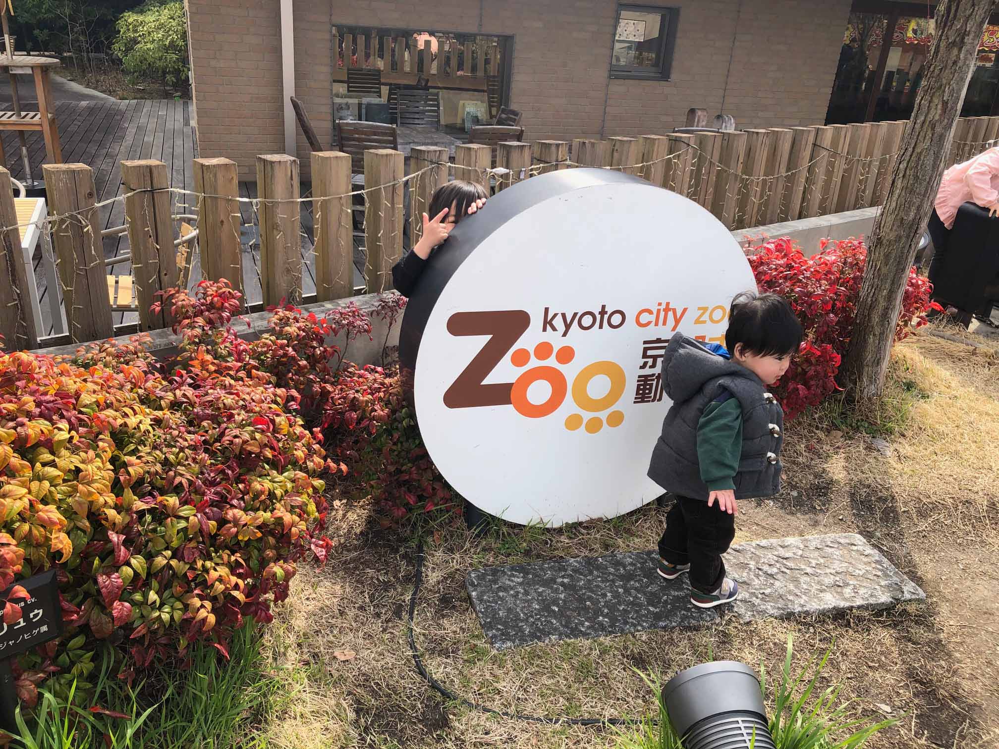 https://stratus.campaign-image.jp/images/5590000003072943_zc_v1_1774857360958_img_3789.jpg