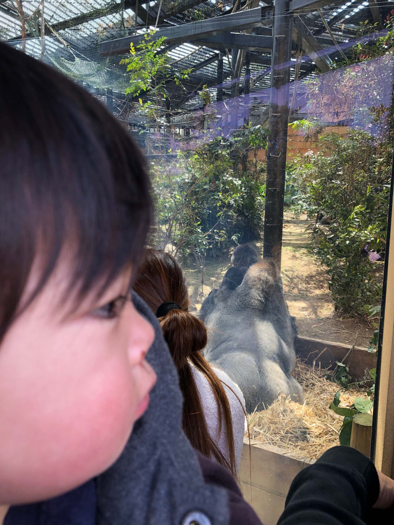 https://stratus.campaign-image.jp/images/5590000003072943_zc_v1_1774862108439_img_3957.jpg