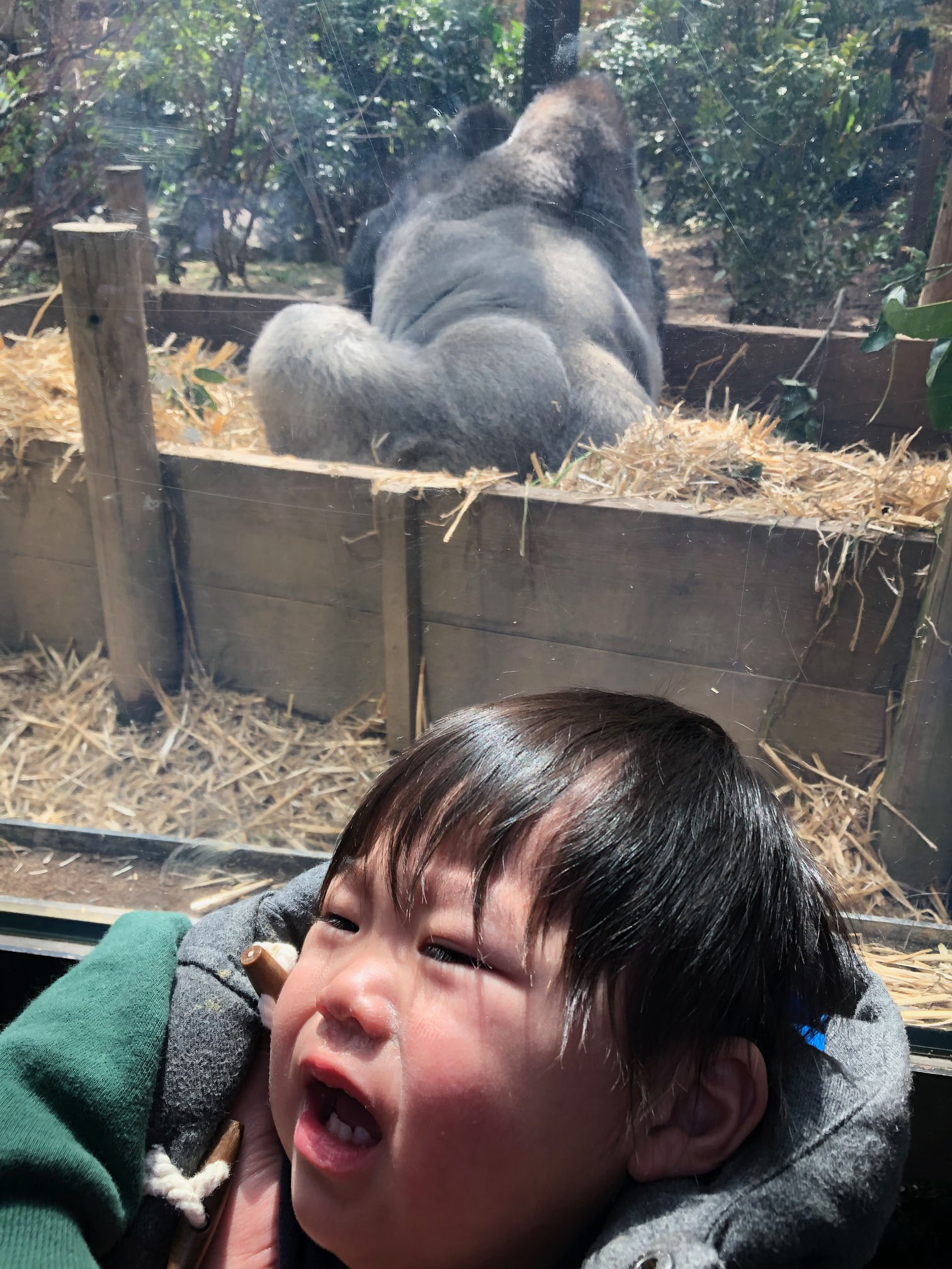 https://stratus.campaign-image.jp/images/5590000003072943_zc_v1_1774862231315_img_3959.jpg