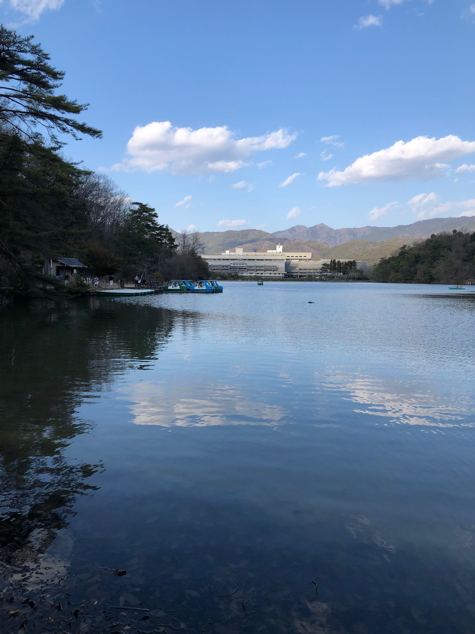 https://stratus.campaign-image.jp/images/5590000003072943_zc_v1_1774864425568_img_3990.jpg