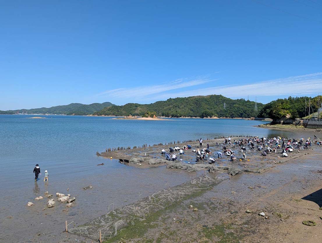 https://stratus.campaign-image.jp/images/5590000003765437_zc_v1_1782721764293_1782721491259.jpg