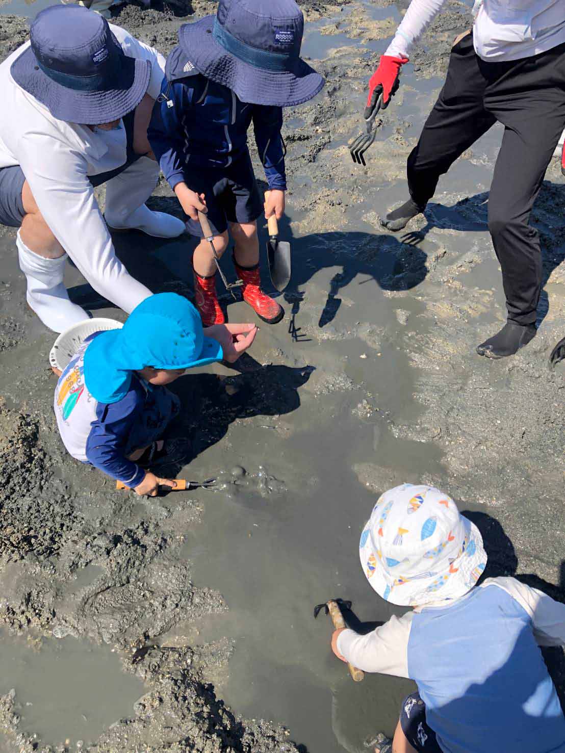 https://stratus.campaign-image.jp/images/5590000003765437_zc_v1_1782723319593_1782723123583.jpg