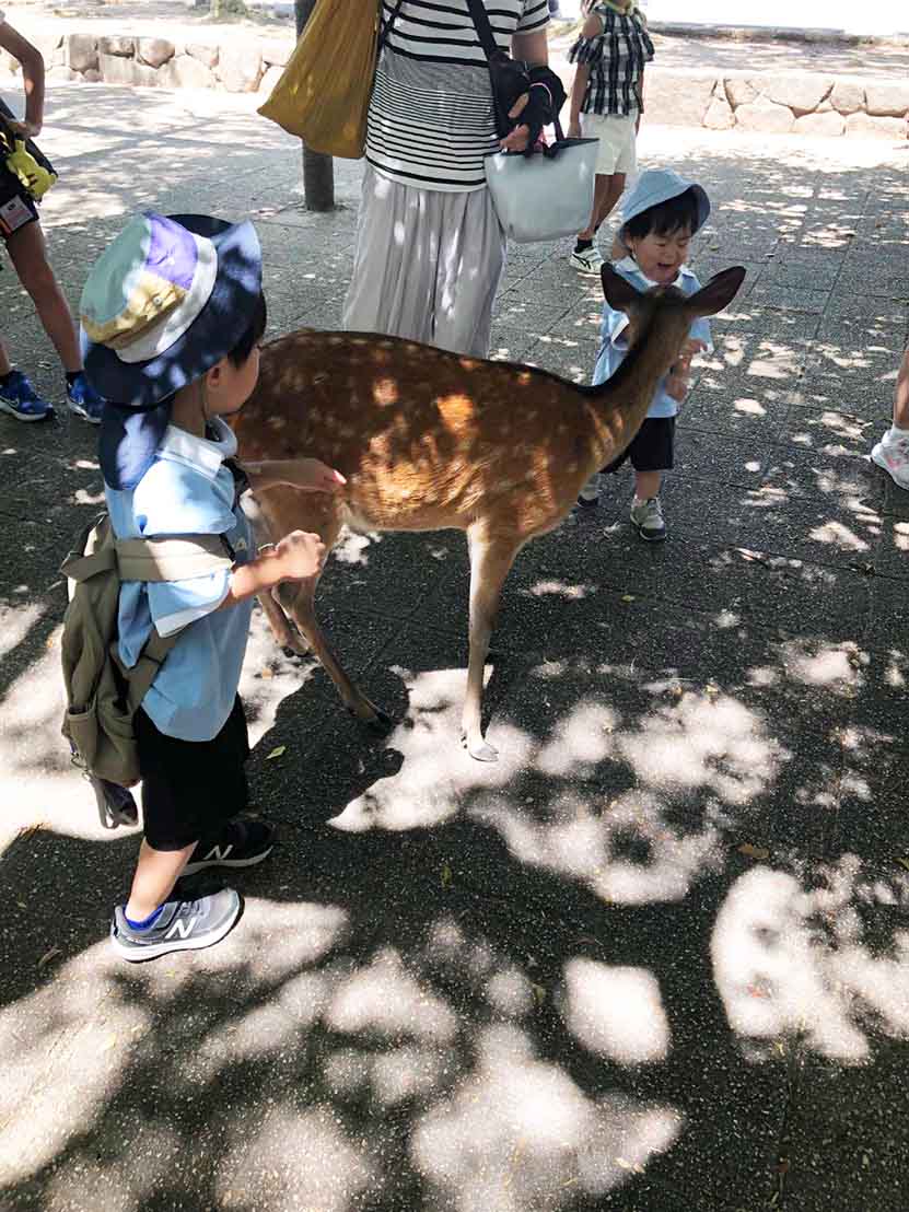 https://stratus.campaign-image.jp/images/5590000004516562_zc_v1_1787885381408_1787884509012.jpg