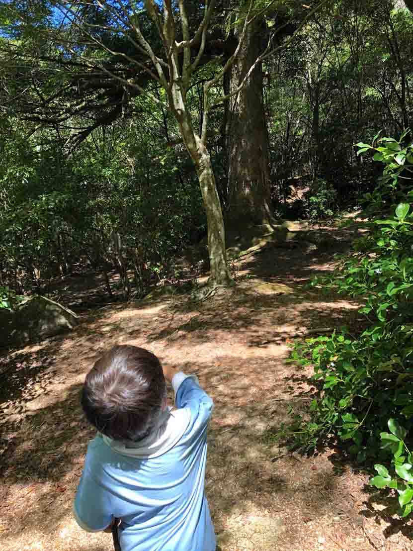 https://stratus.campaign-image.jp/images/5590000004516562_zc_v1_1787892282689_1787891815827.jpg