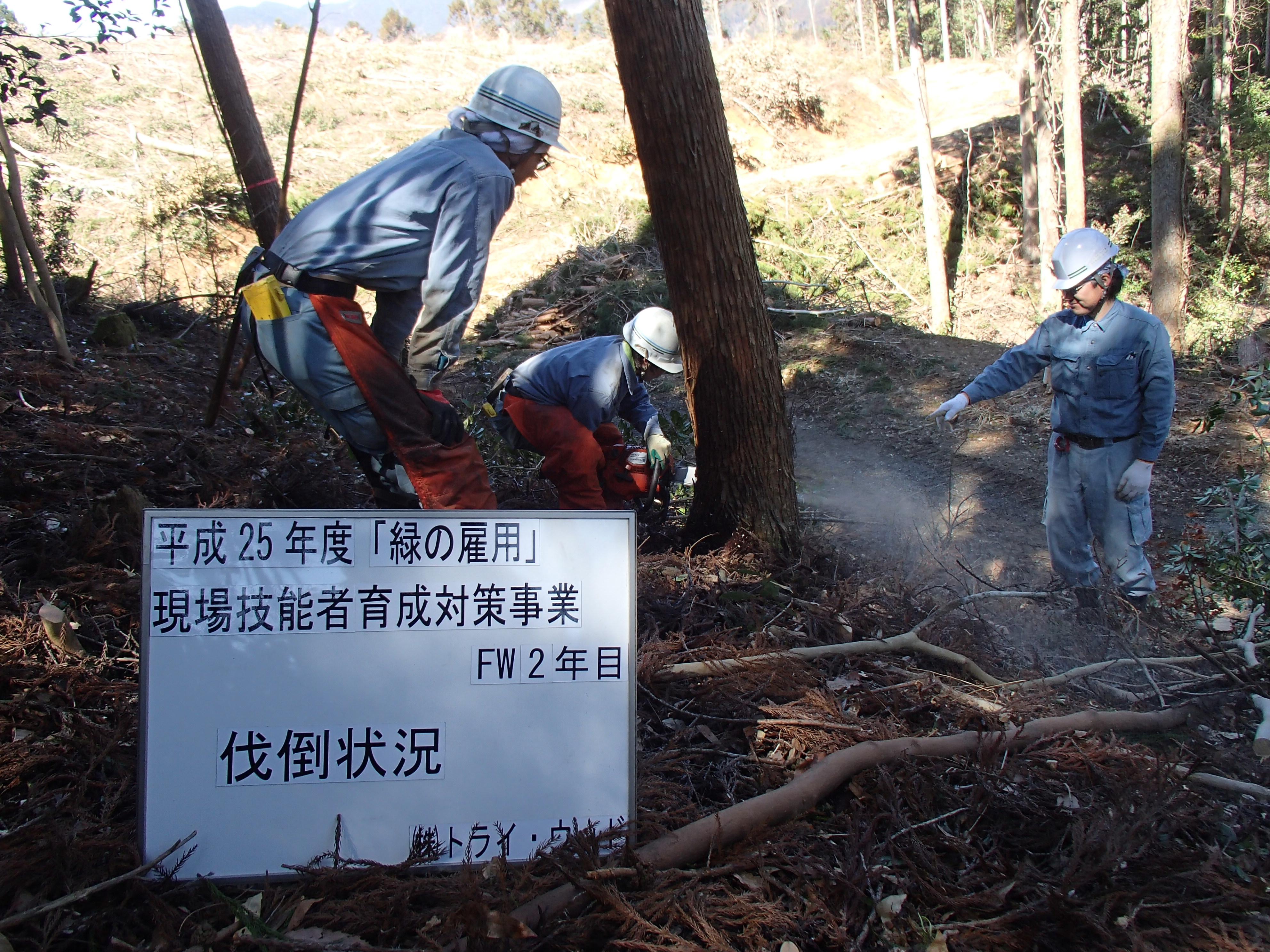 https://stratus.campaign-image.jp/images/8722000000241023_zc_v1_1746173281390_p3170269.jpg