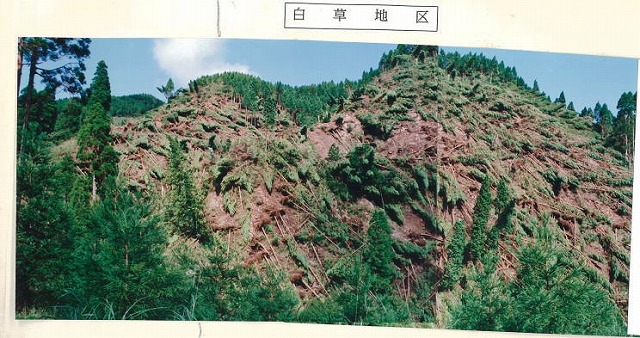 https://stratus.campaign-image.jp/images/8722000000626006_zc_v1_1754636957056_ws完成品トリミング.jpeg