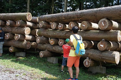 https://stratus.campaign-image.jp/images/8722000000690009_zc_v1_1759390641992_1_(1).jpg