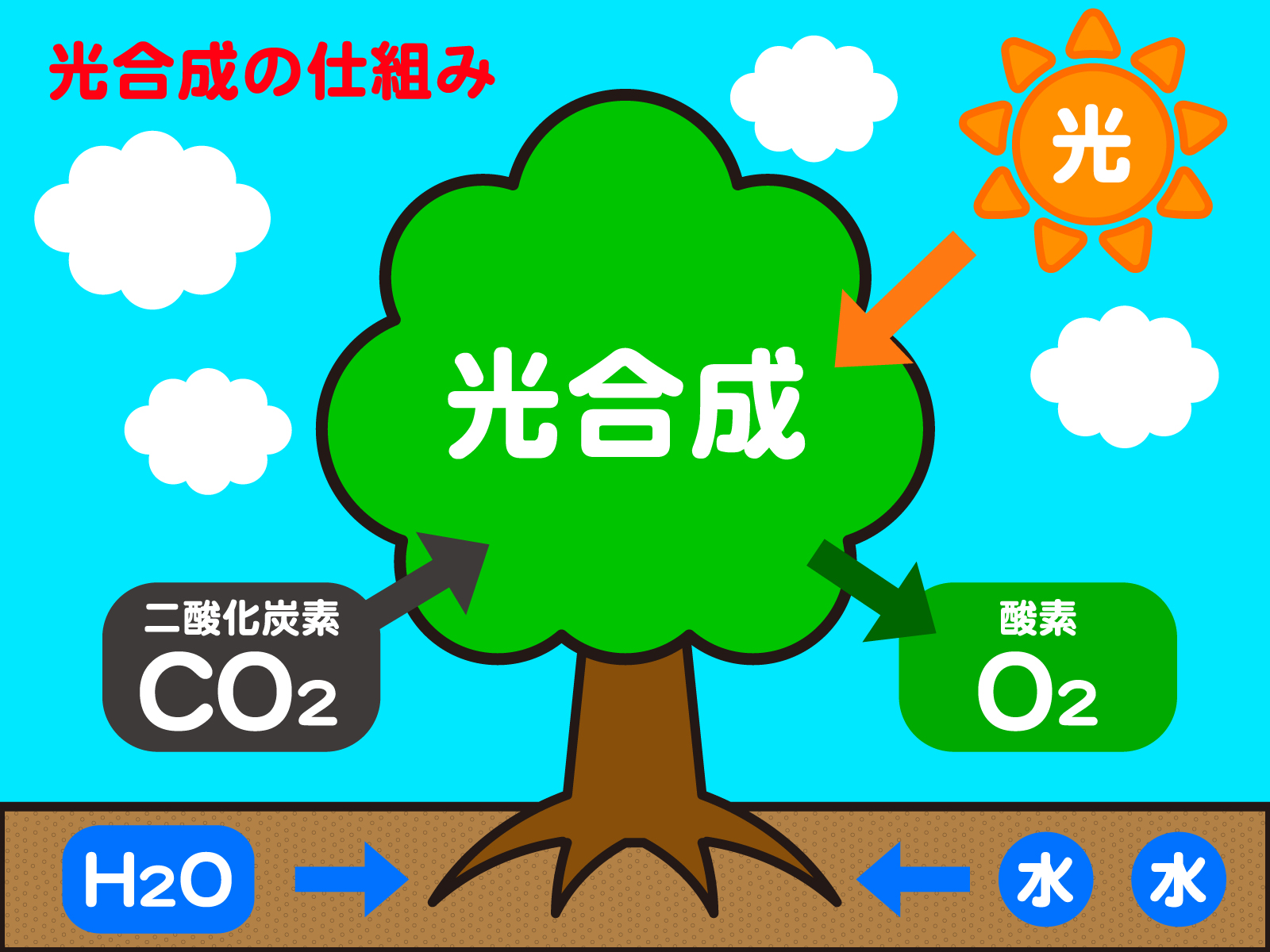 https://stratus.campaign-image.jp/images/8722000001702006_zc_v1_1768467108291_1_(3).jpg